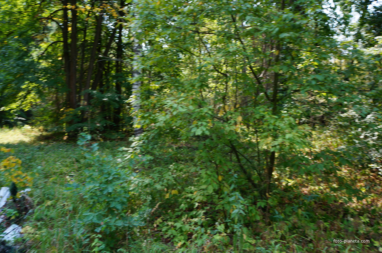 Территория бывших воинских частей