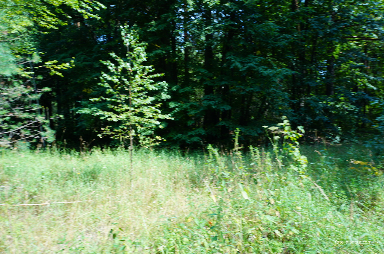 Территория бывших воинских частей