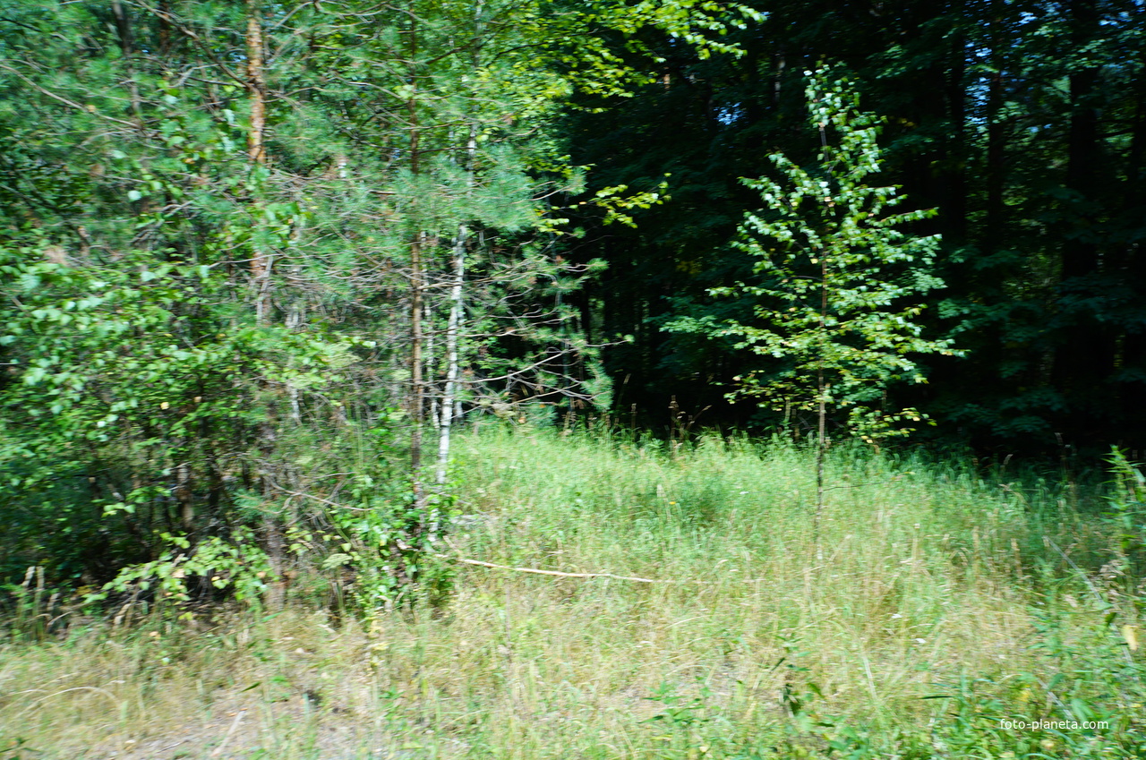 Территория бывших воинских частей