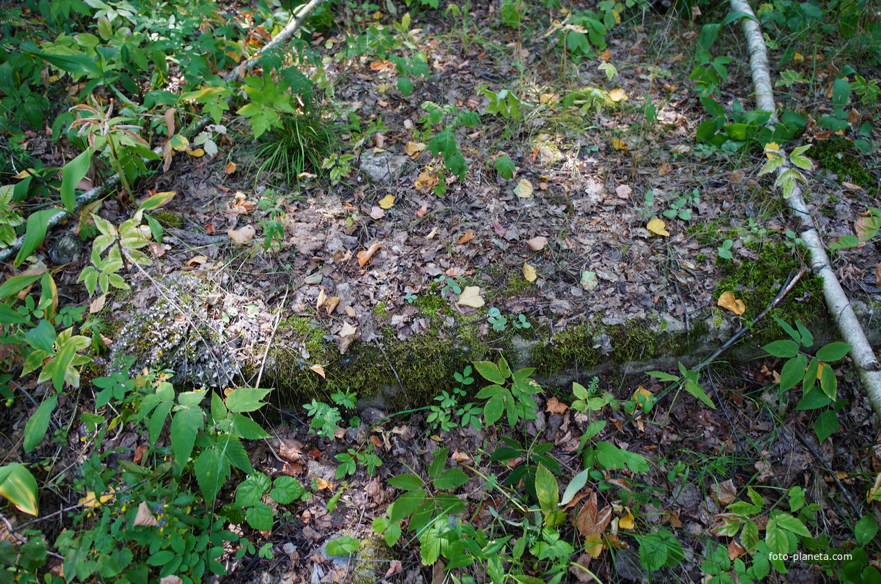 Территория бывших воинских частей