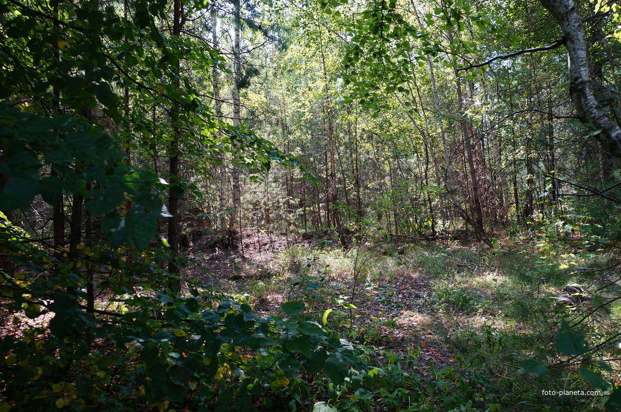 Территория бывших воинских частей