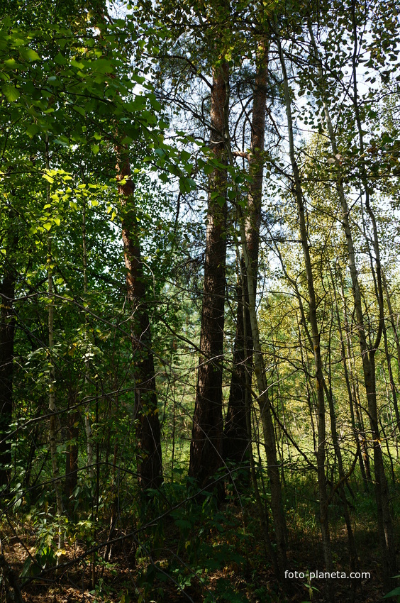 Территория бывших воинских частей