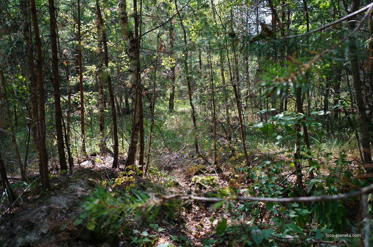 Территория бывших воинских частей