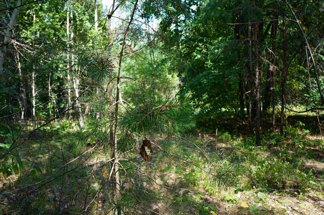 Территория бывших воинских частей