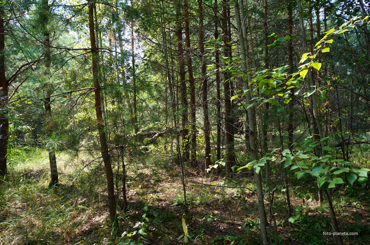 Территория бывших воинских частей