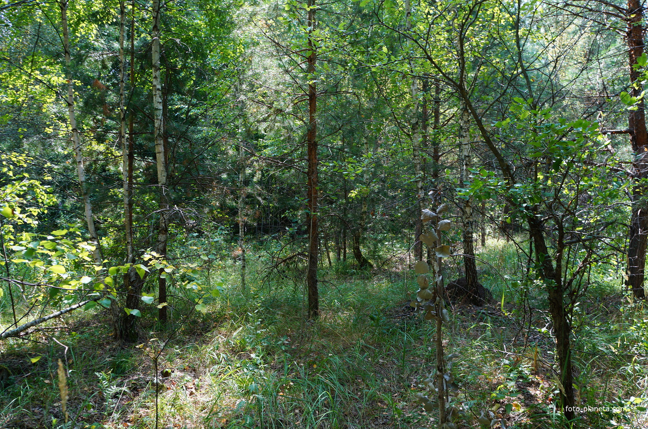 Территория бывших воинских частей