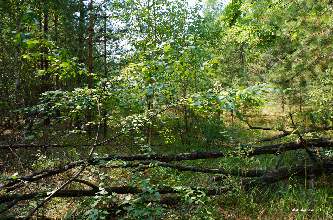 Территория бывших воинских частей