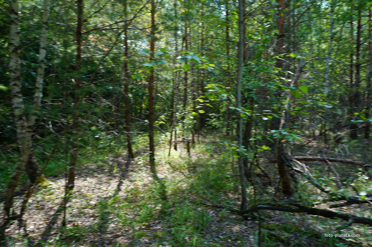 Территория бывших воинских частей