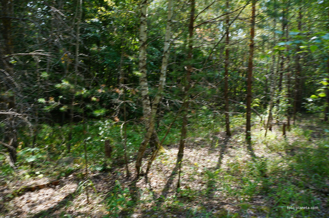 Территория бывших воинских частей