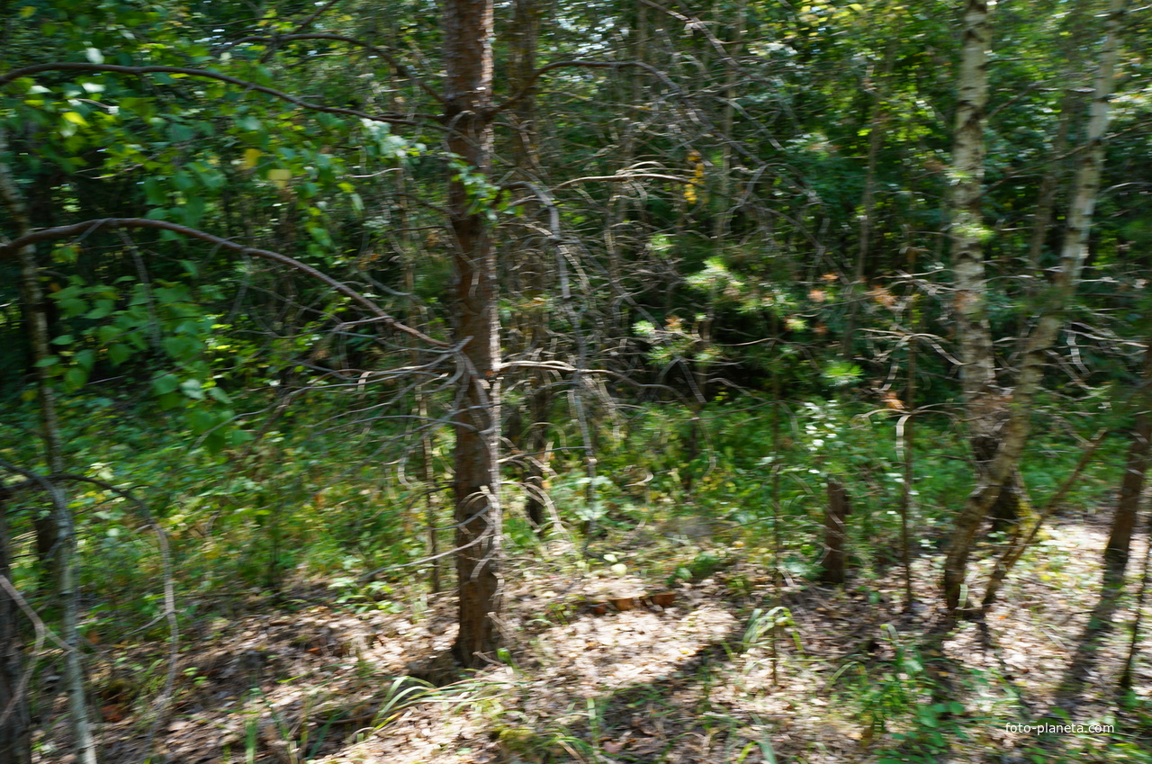 Территория бывших воинских частей