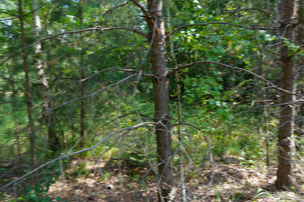 Территория бывших воинских частей