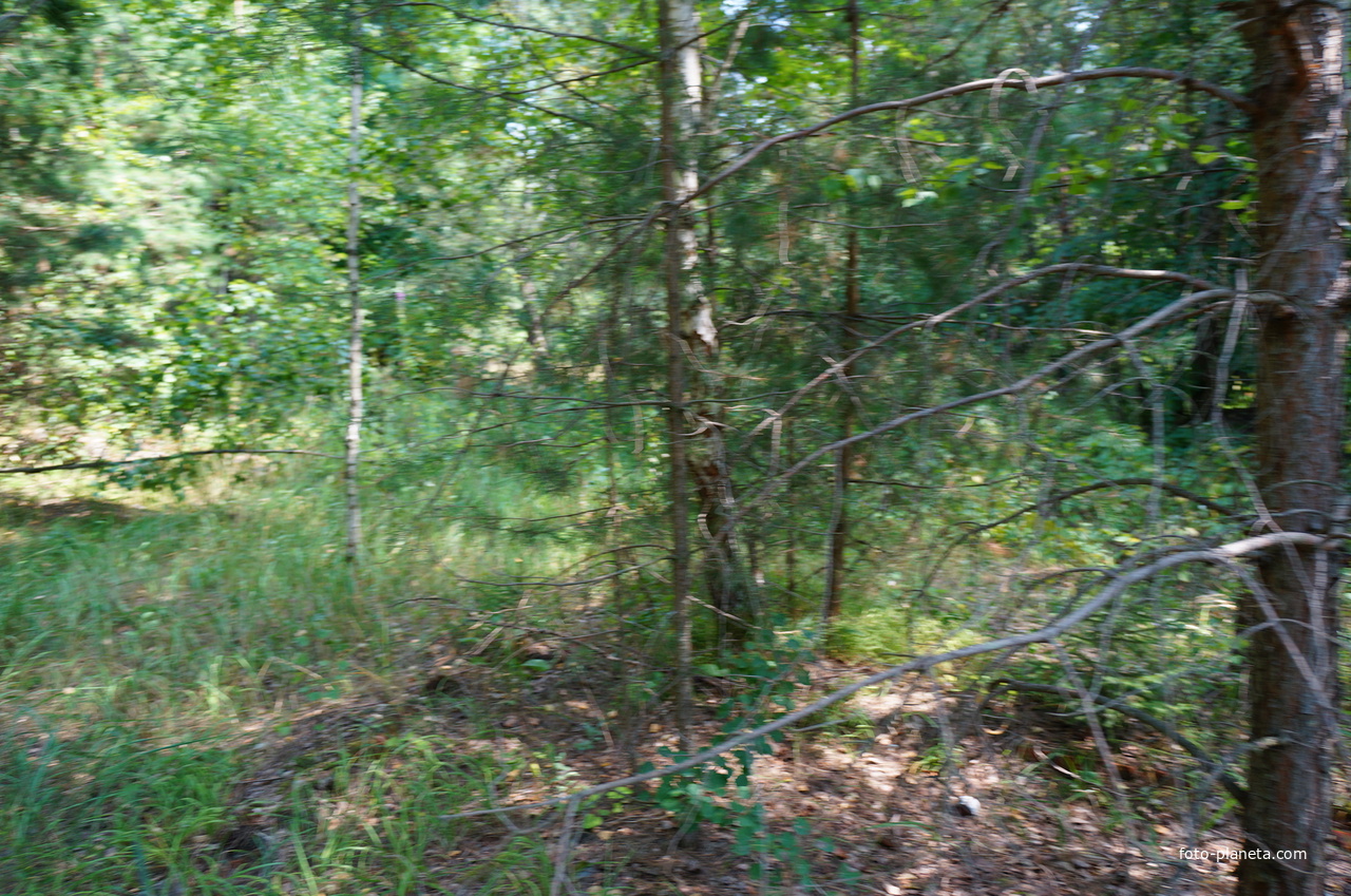 Территория бывших воинских частей