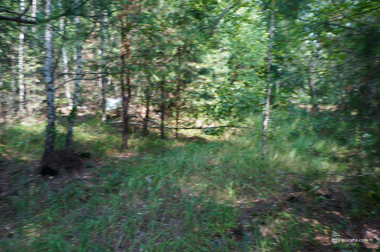 Территория бывших воинских частей