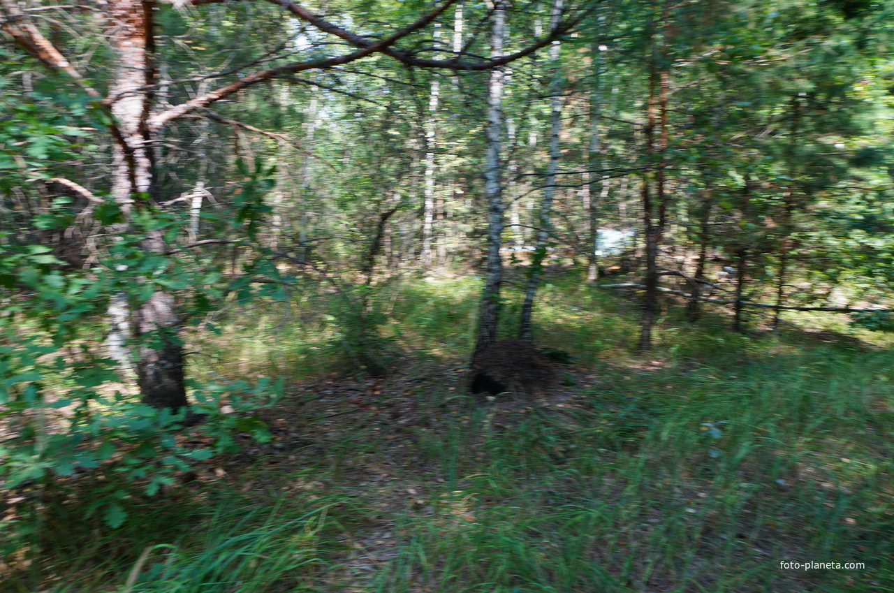 Территория бывших воинских частей