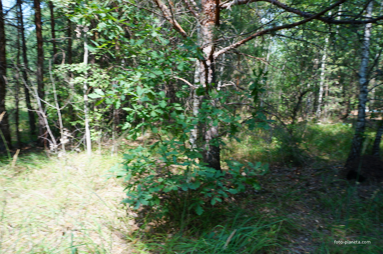 Территория бывших воинских частей