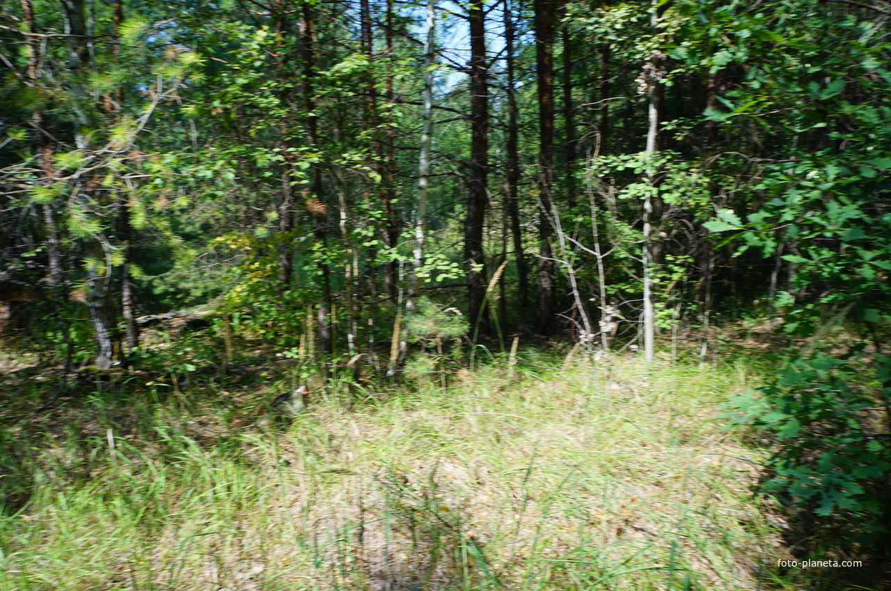 Территория бывших воинских частей