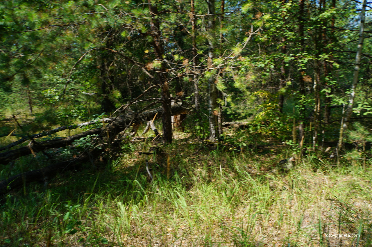 Территория бывших воинских частей