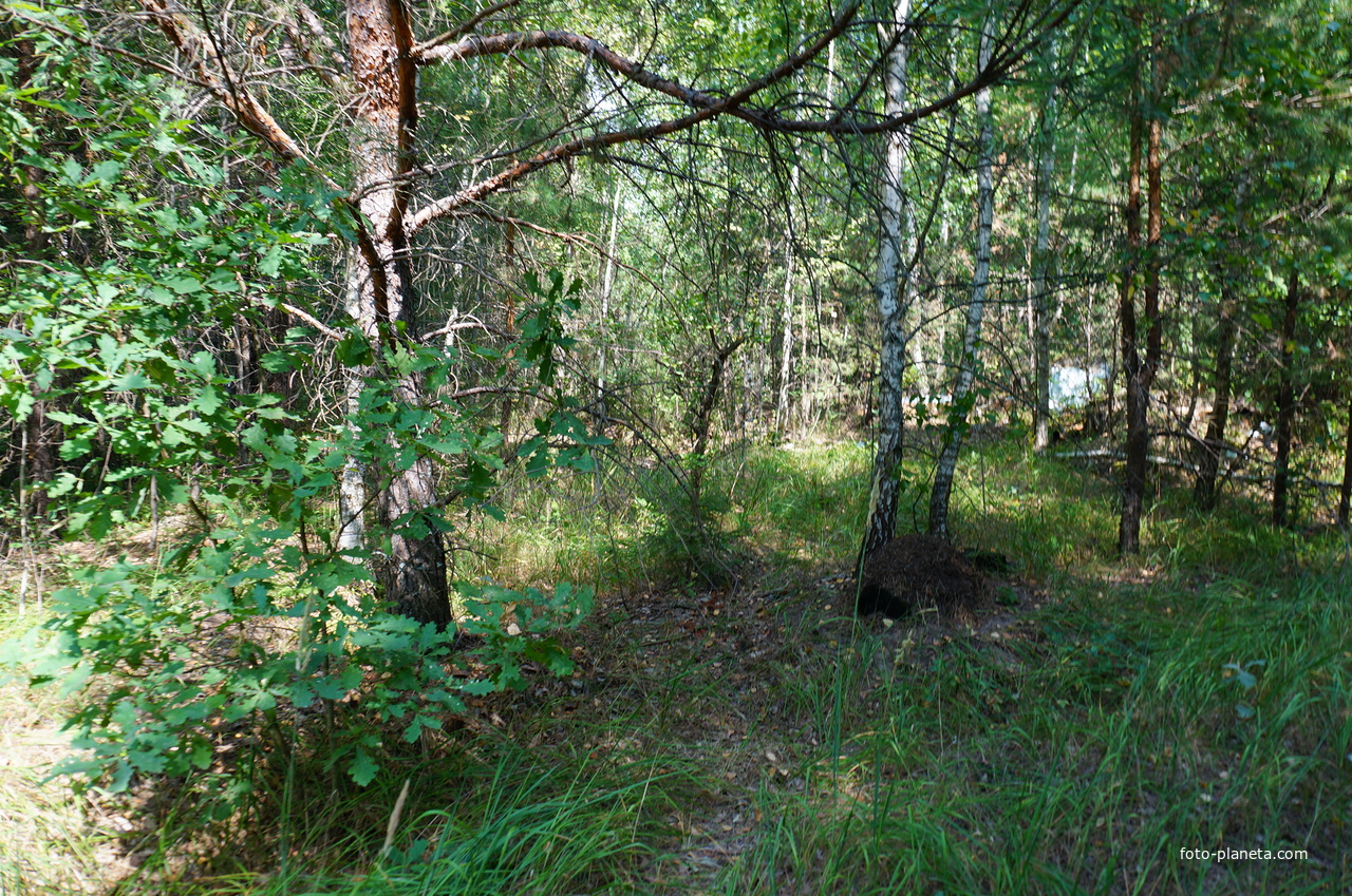 Территория бывших воинских частей