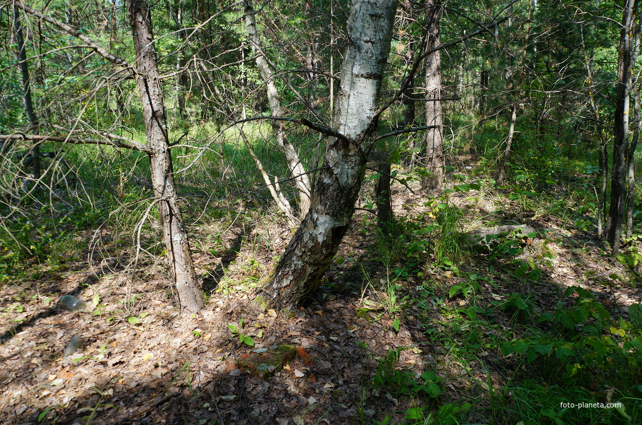 Территория бывших воинских частей