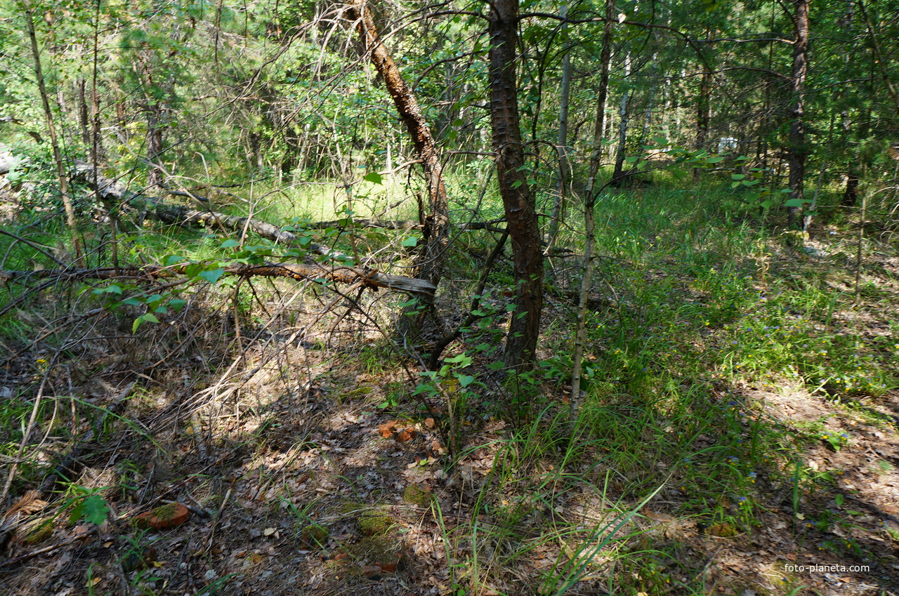Территория бывших воинских частей