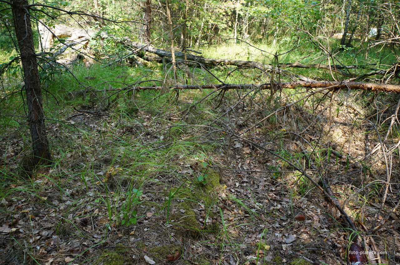 Территория бывших воинских частей