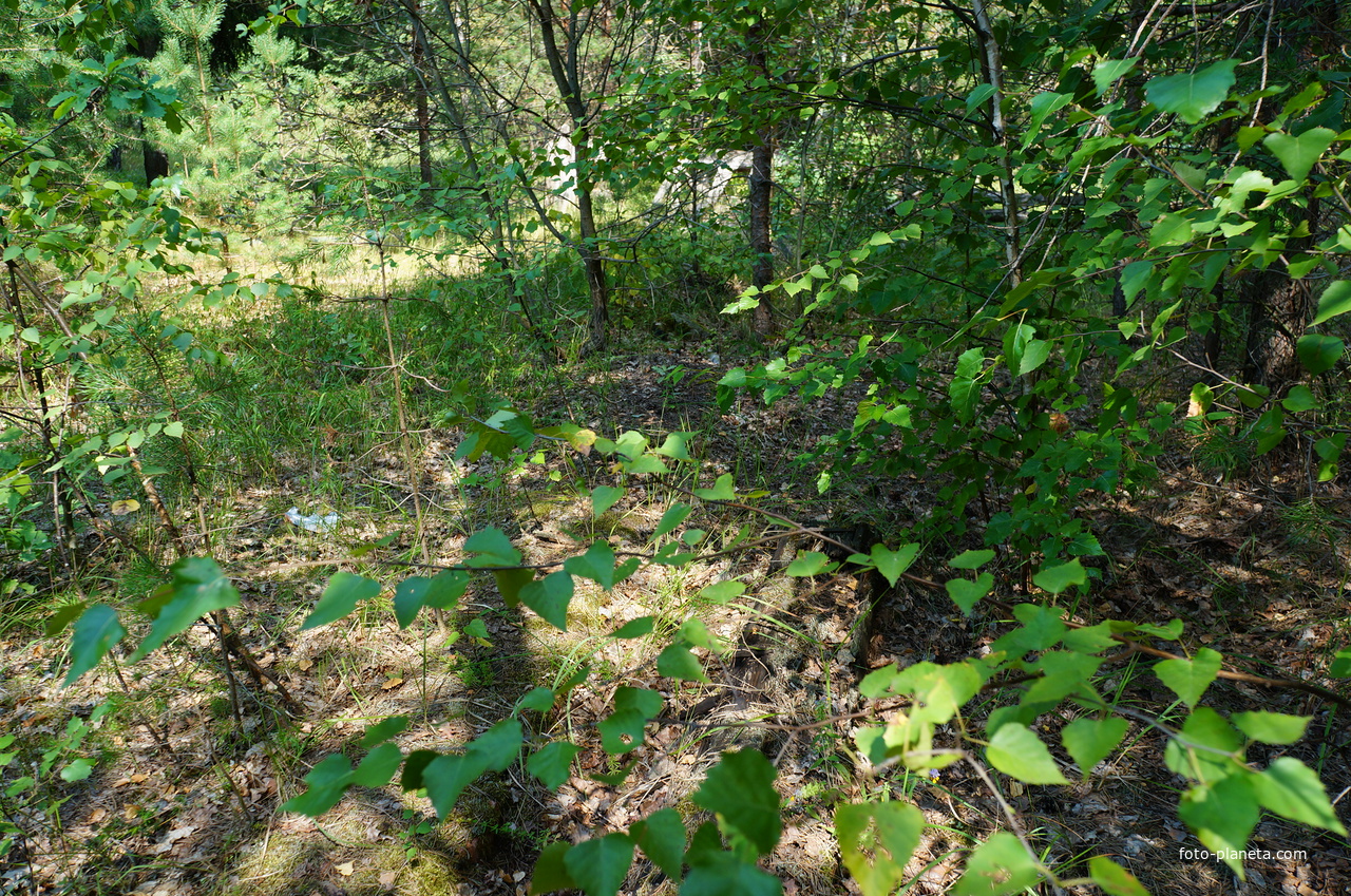 Территория бывших воинских частей