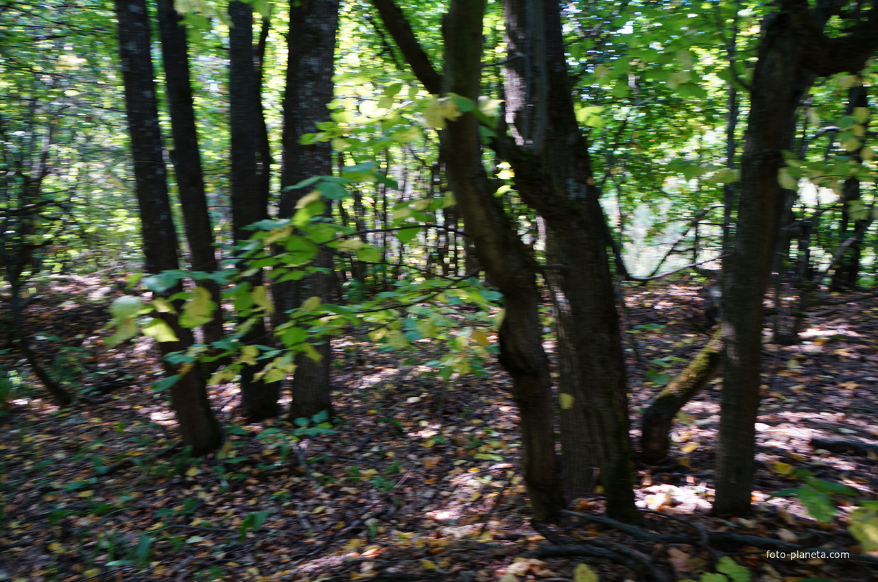 Территория бывших воинских частей