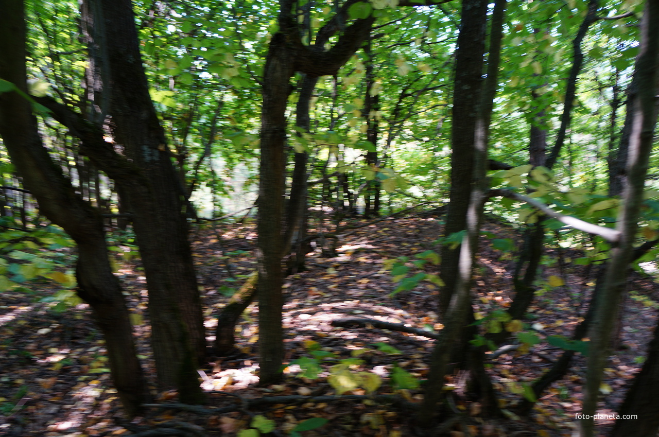 Территория бывших воинских частей