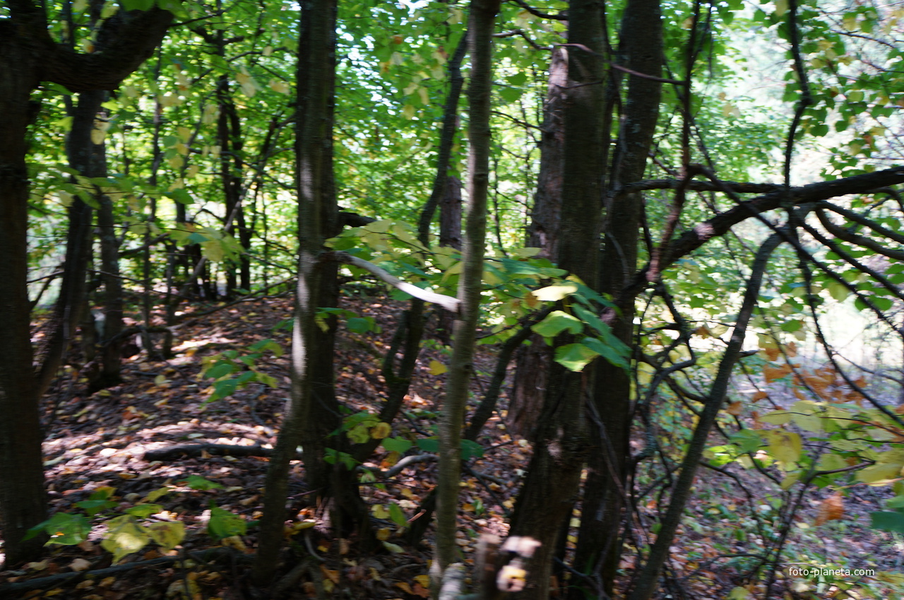 Территория бывших воинских частей