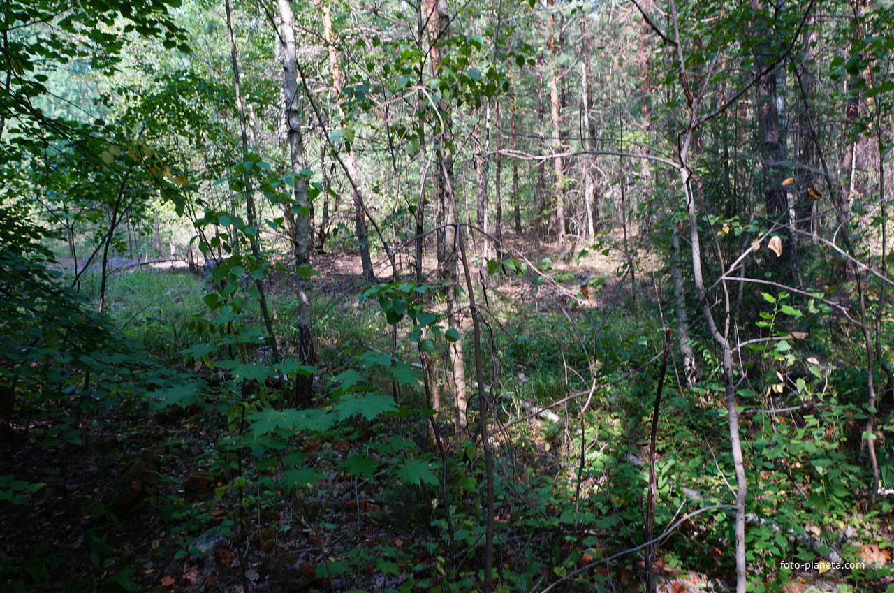 Территория бывших воинских частей