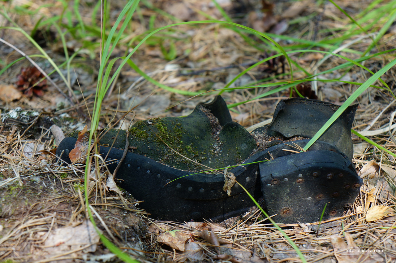 Территория бывших воинских частей