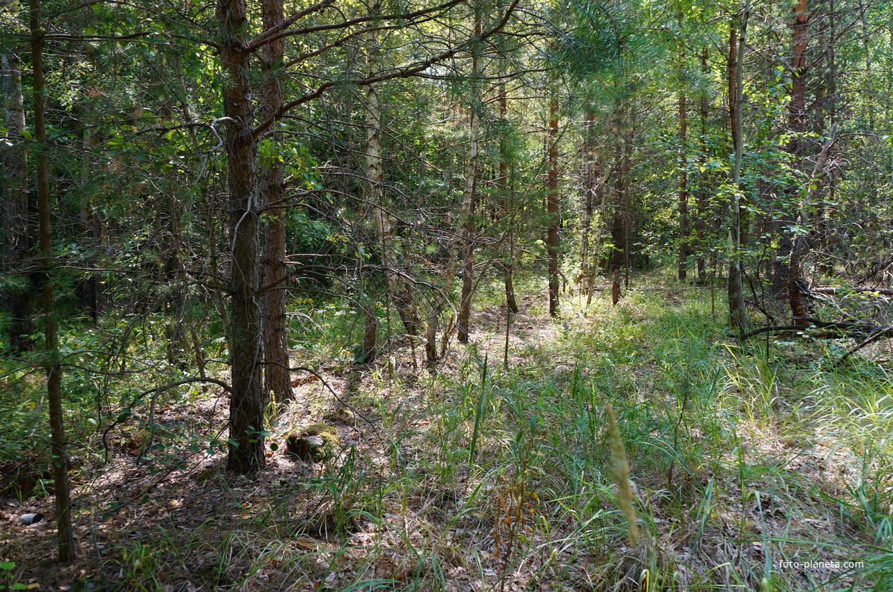 Территория бывших воинских частей