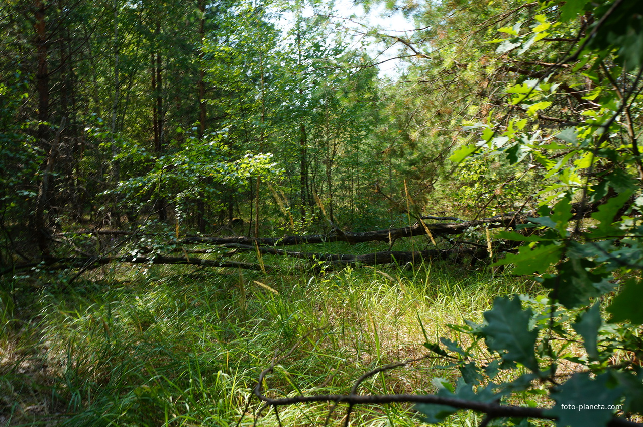 Территория бывших воинских частей