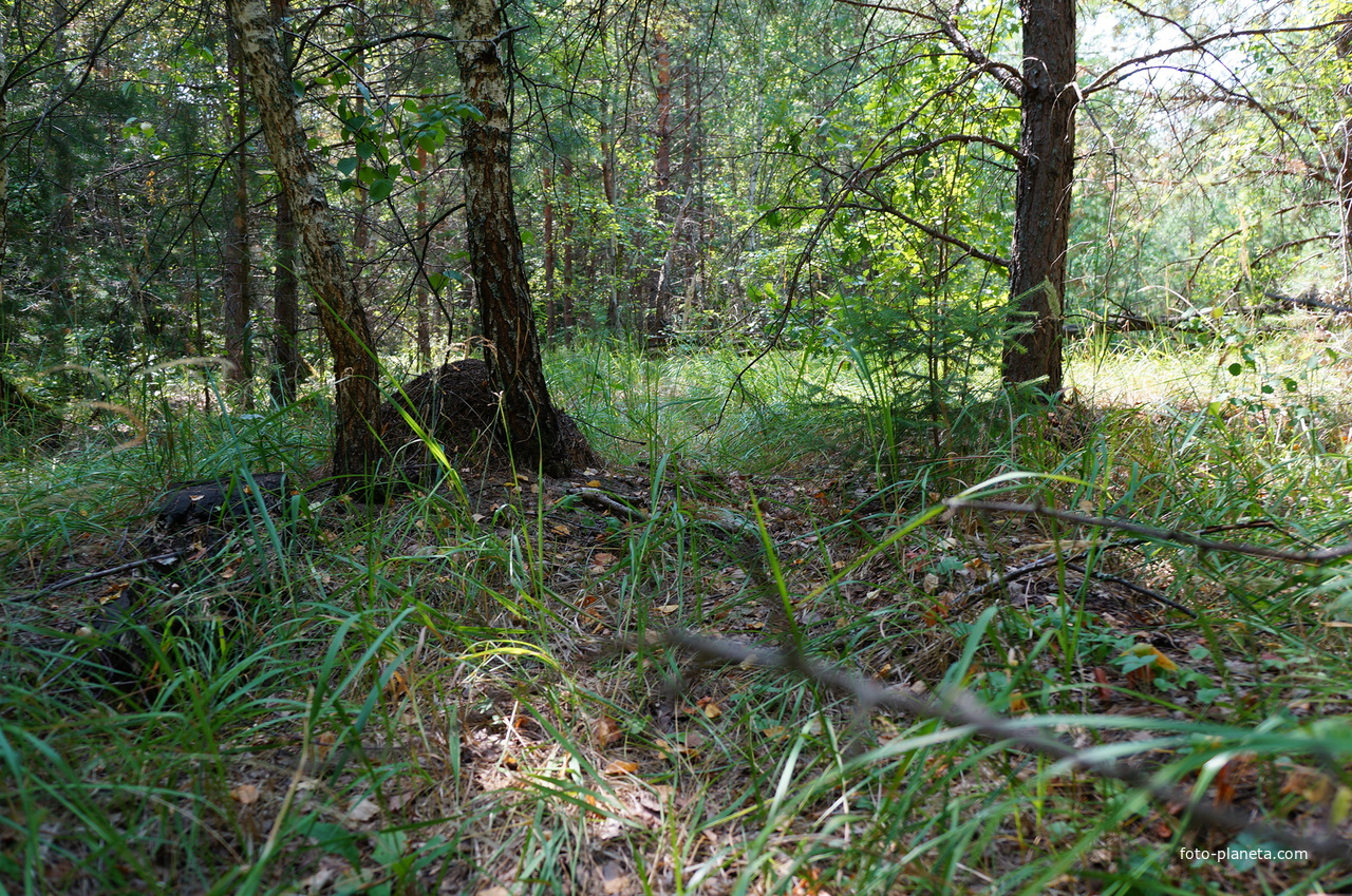 Территория бывших воинских частей