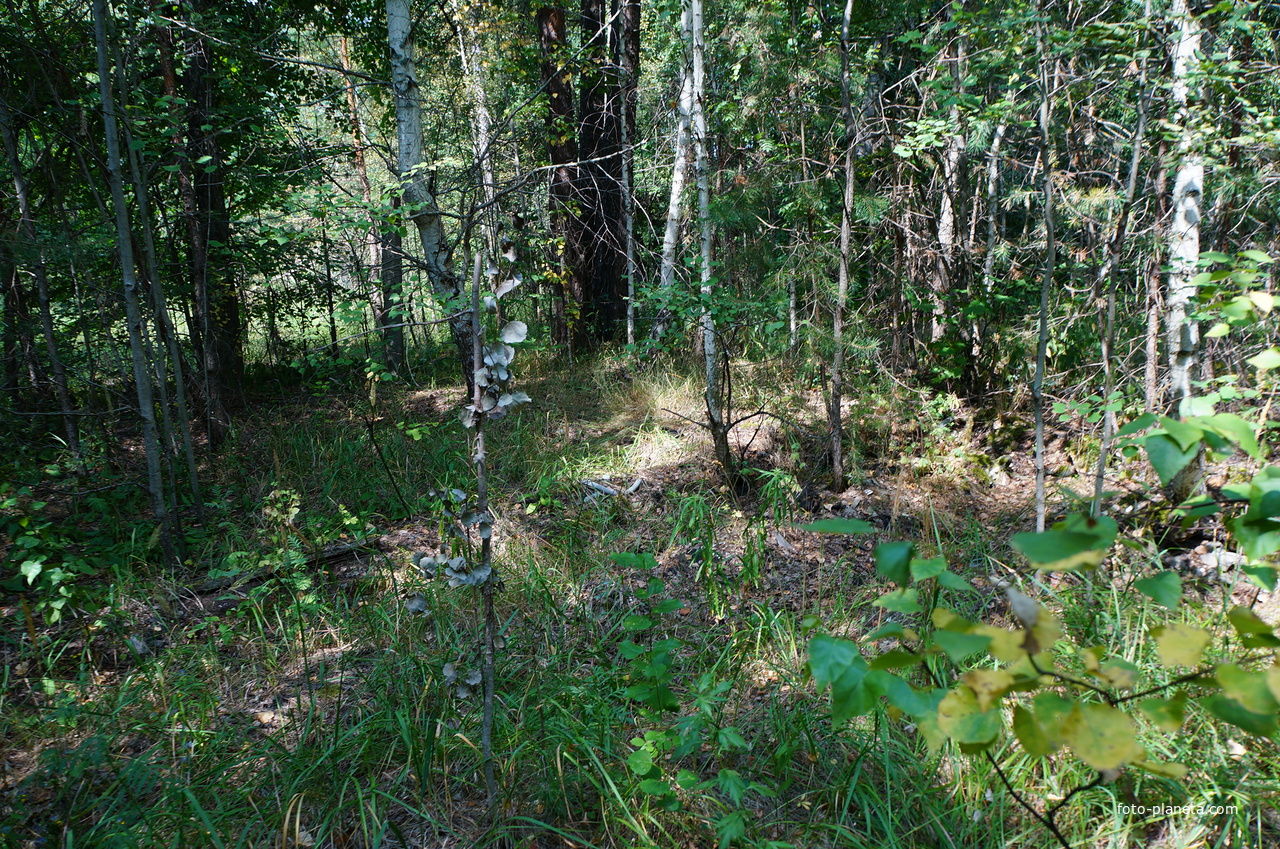 Территория бывших воинских частей