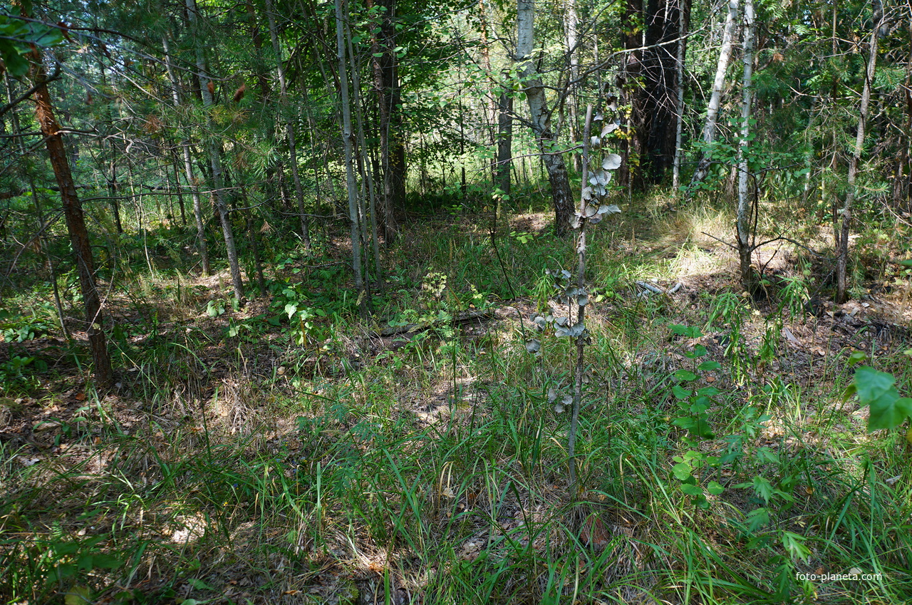 Территория бывших воинских частей