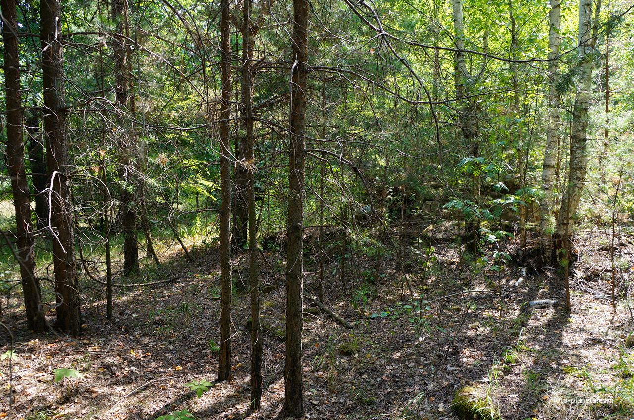 Территория бывших воинских частей