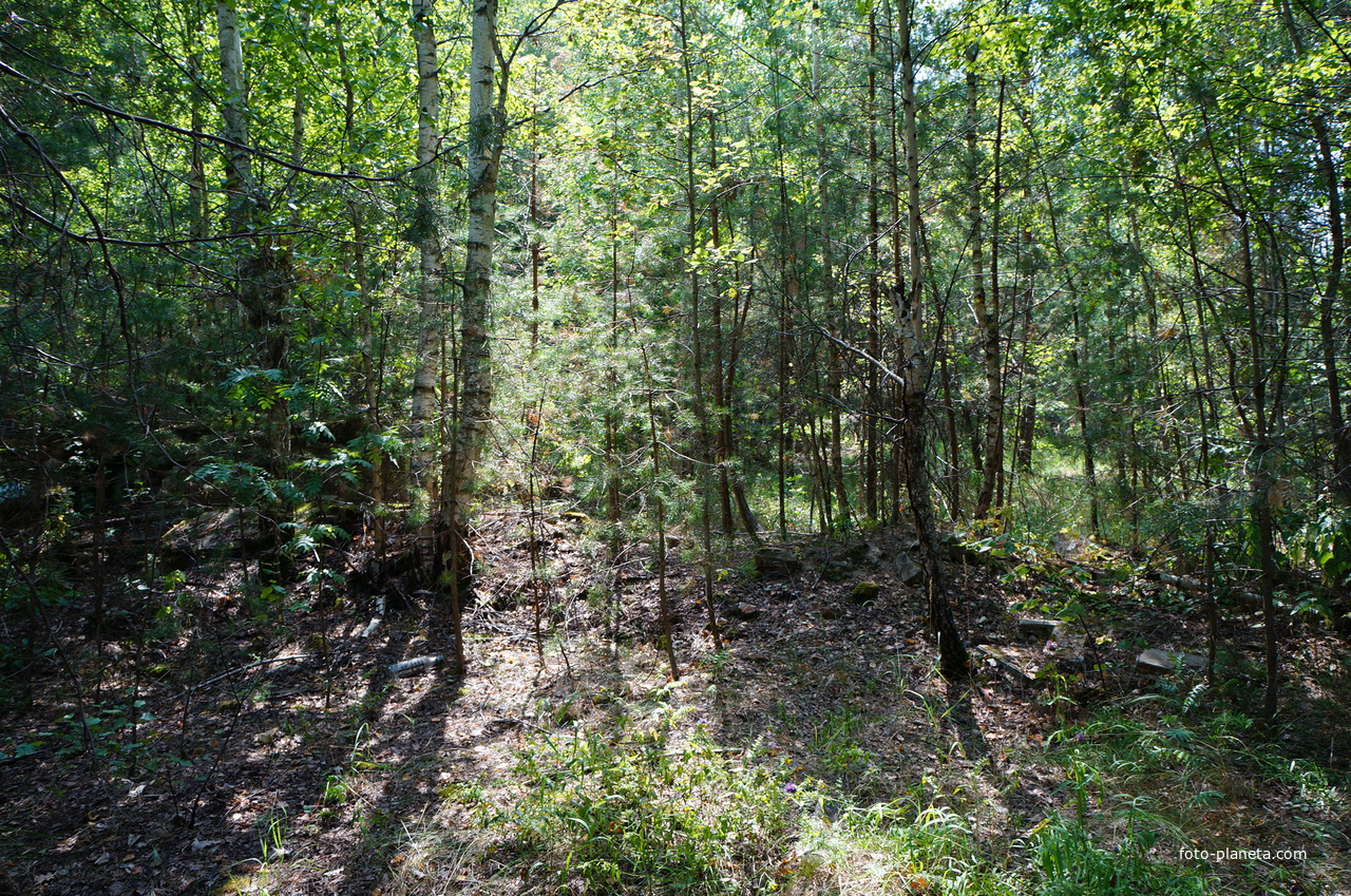 Территория бывших воинских частей