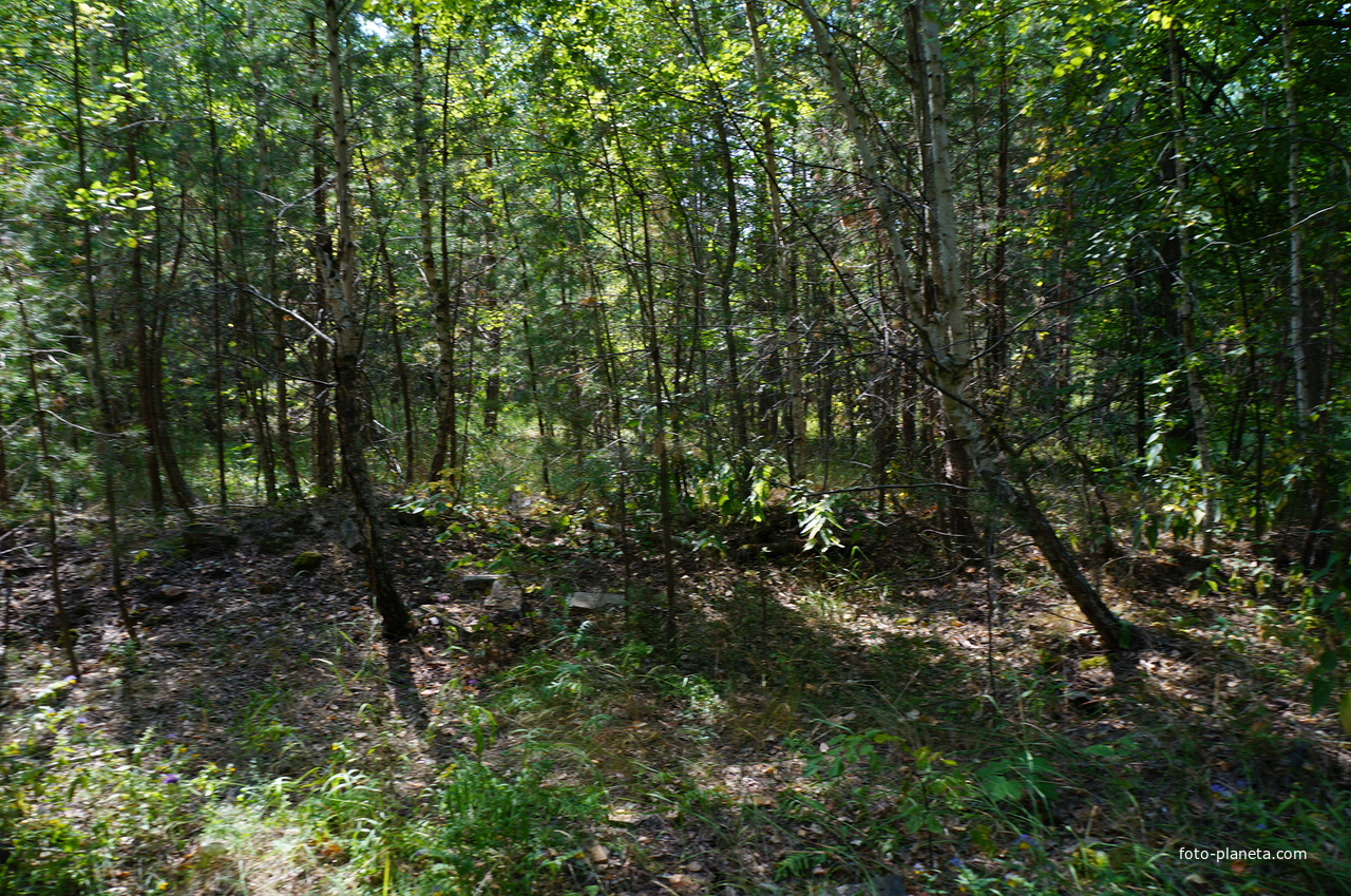 Территория бывших воинских частей