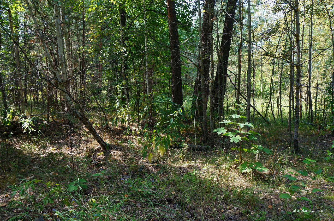 Территория бывших воинских частей