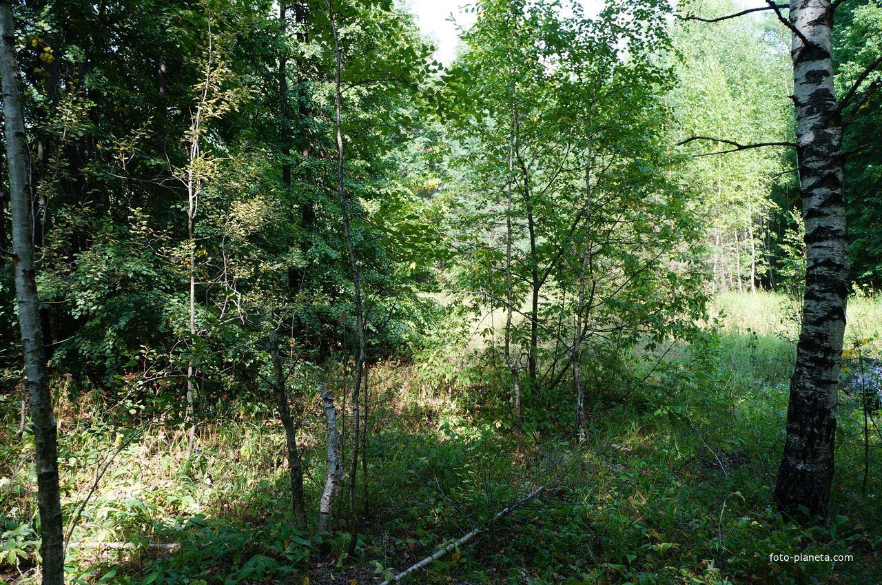 Территория бывших воинских частей