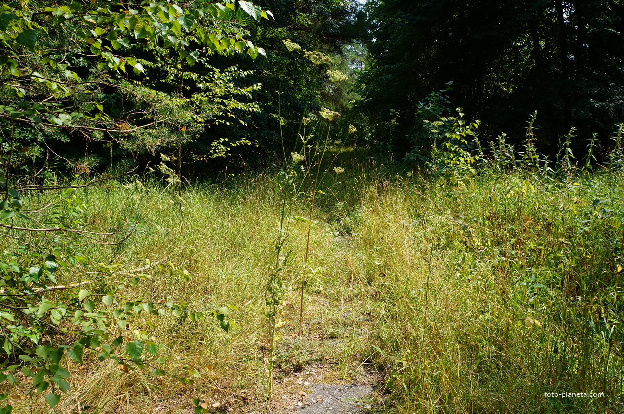 Территория бывших воинских частей
