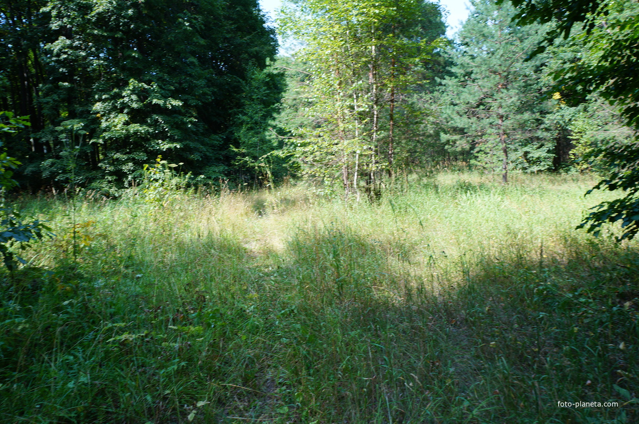 Территория бывших воинских частей