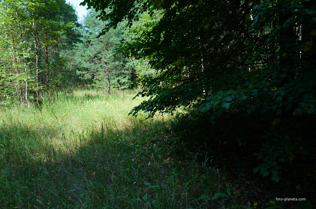 Территория бывших воинских частей