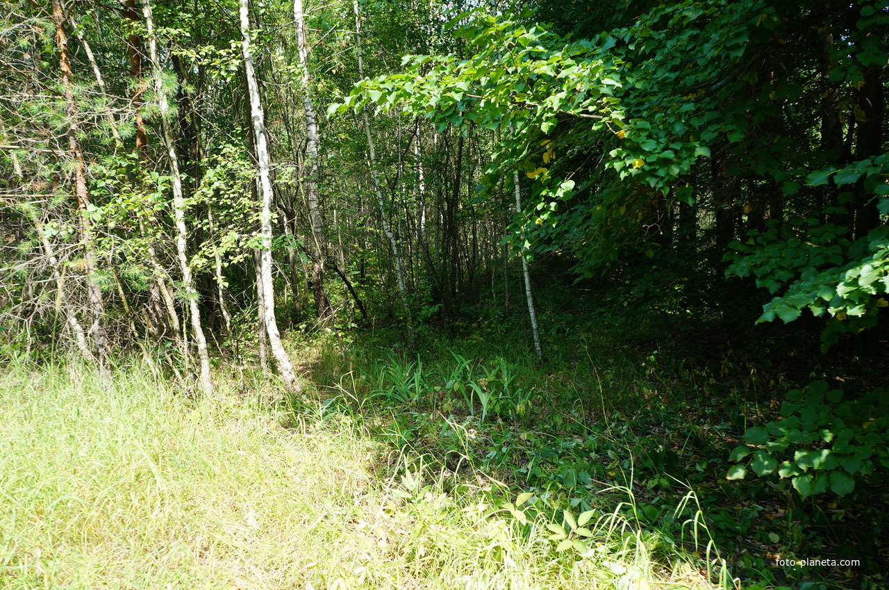 Территория бывших воинских частей