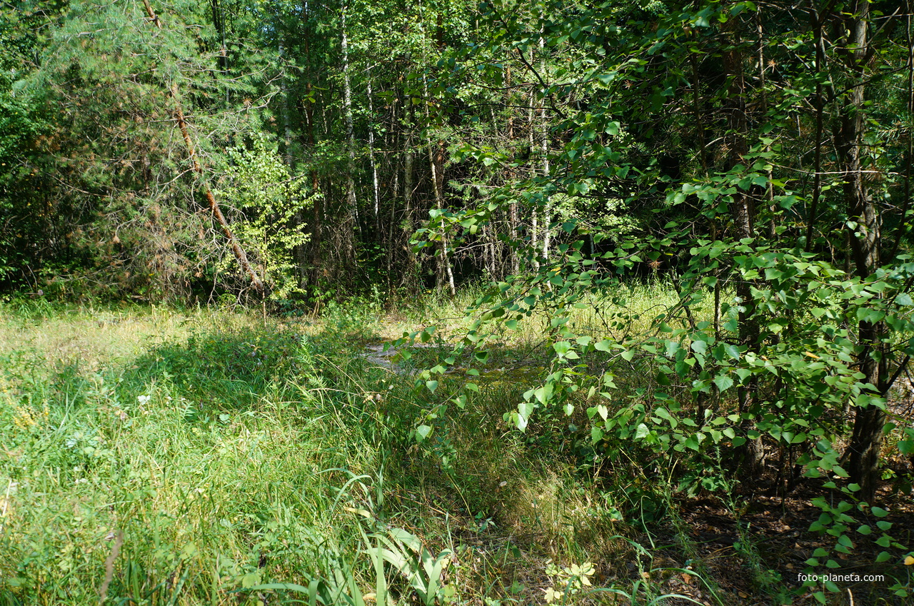 Территория бывших воинских частей