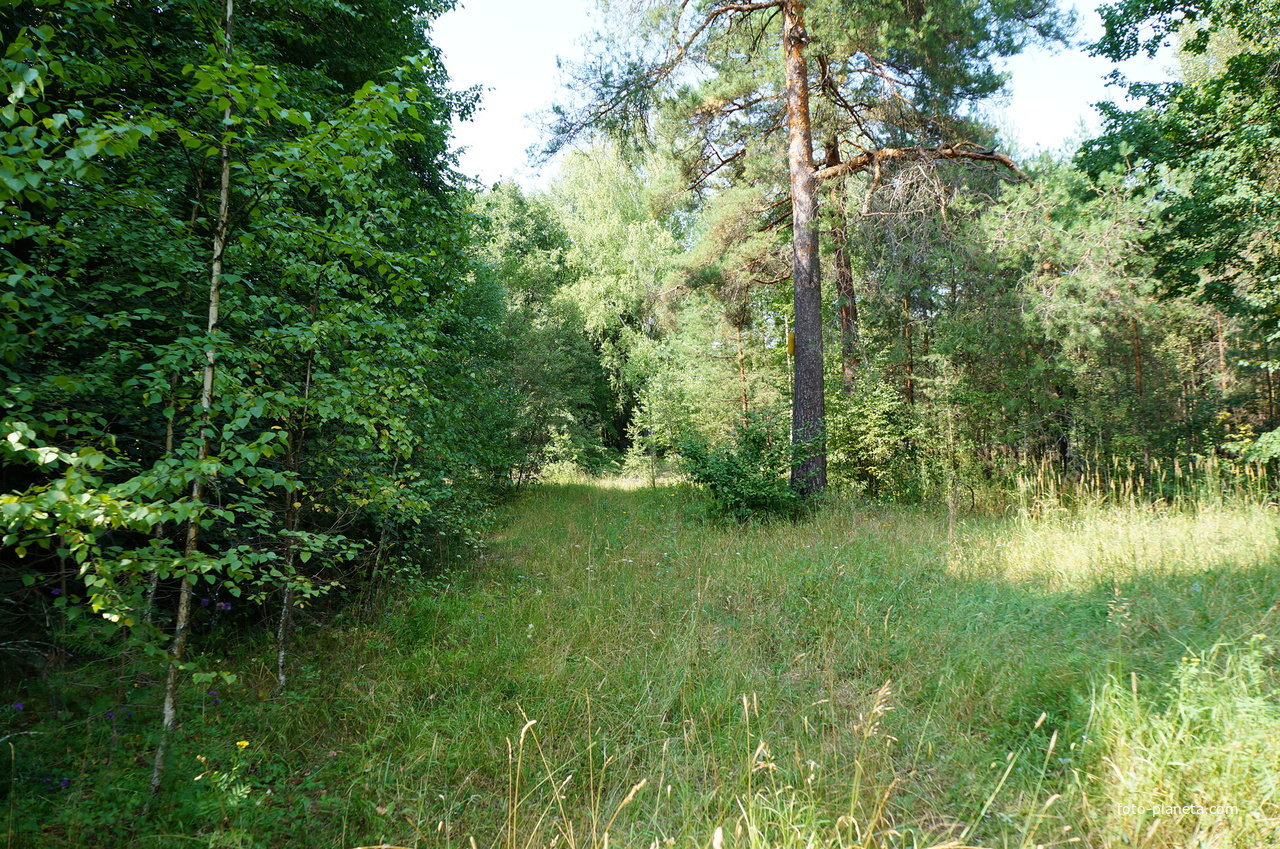 Территория бывших воинских частей