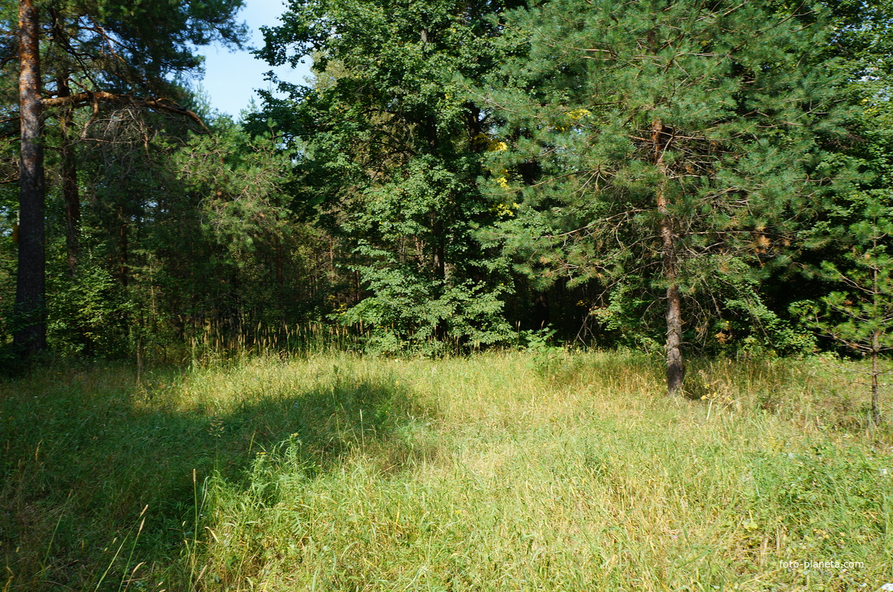 Территория бывших воинских частей