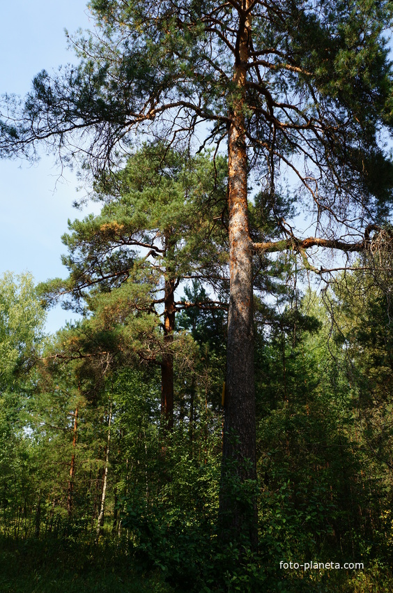 Территория бывших воинских частей