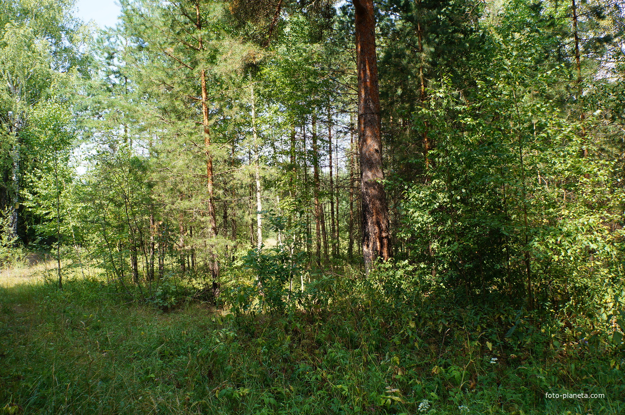 Территория бывших воинских частей